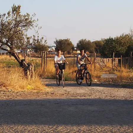 Mola Cunda 酒店 Ayvalı