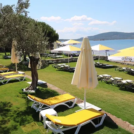 Mola Cunda 3* Ayvalı