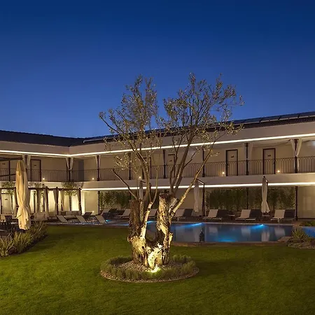 Mola Cunda 3* Ayvalı