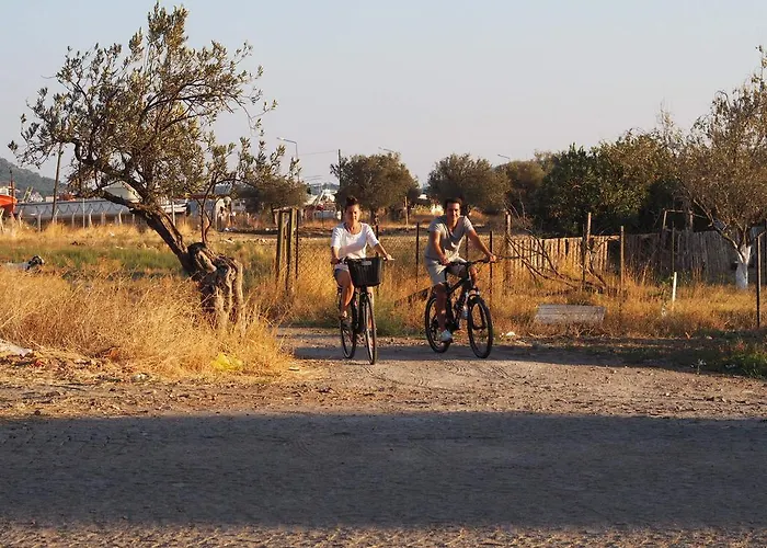 Mola Cunda Отель Айвалык