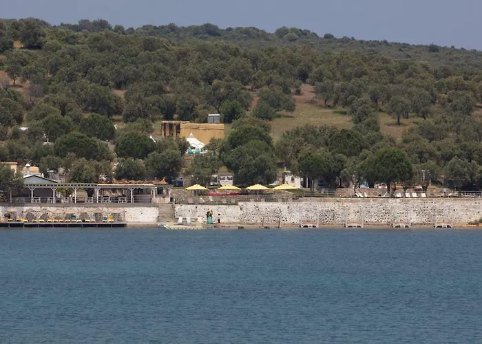 Mola Cunda Отель Айвалык